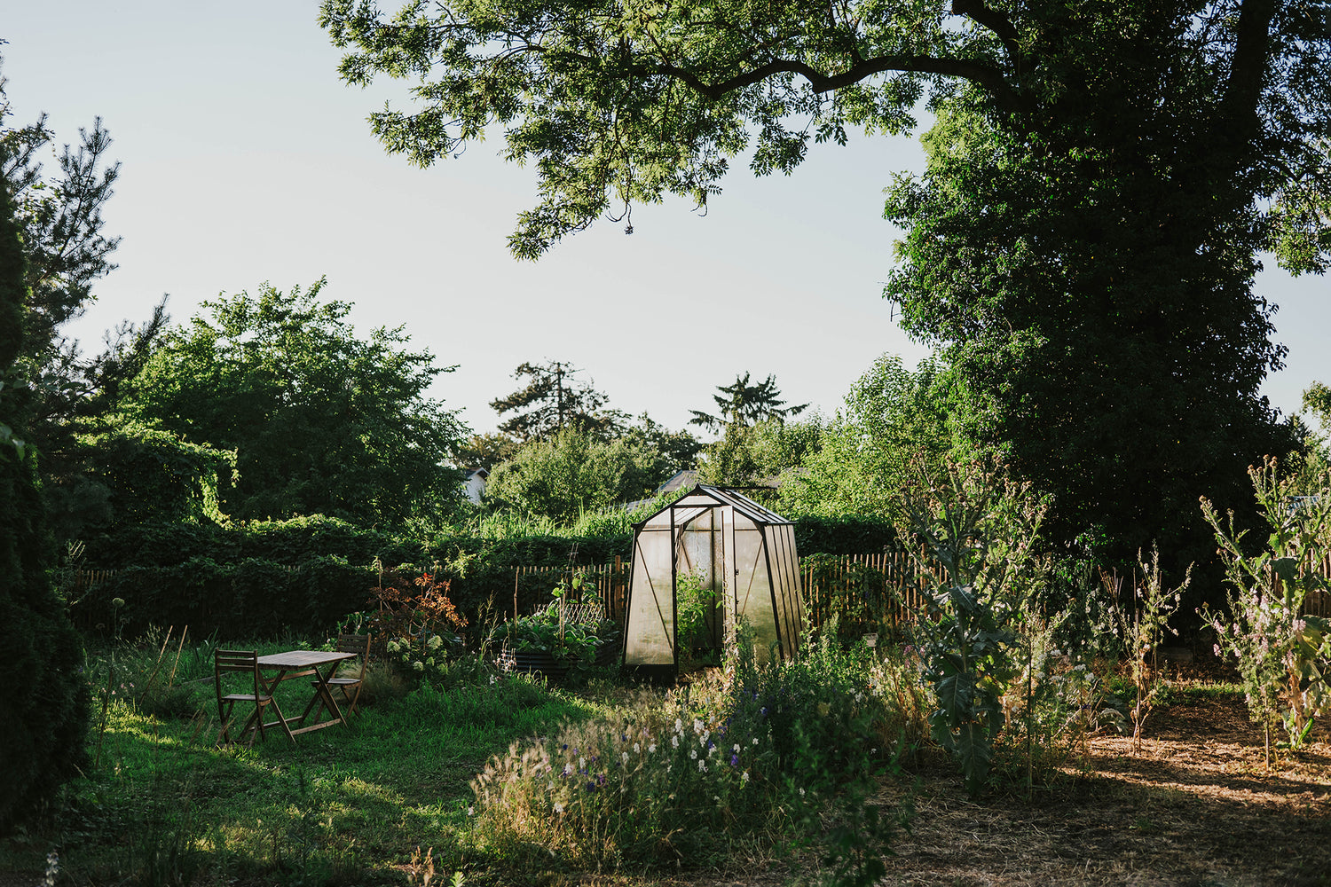 Summer Clay Date - pottery in the garden